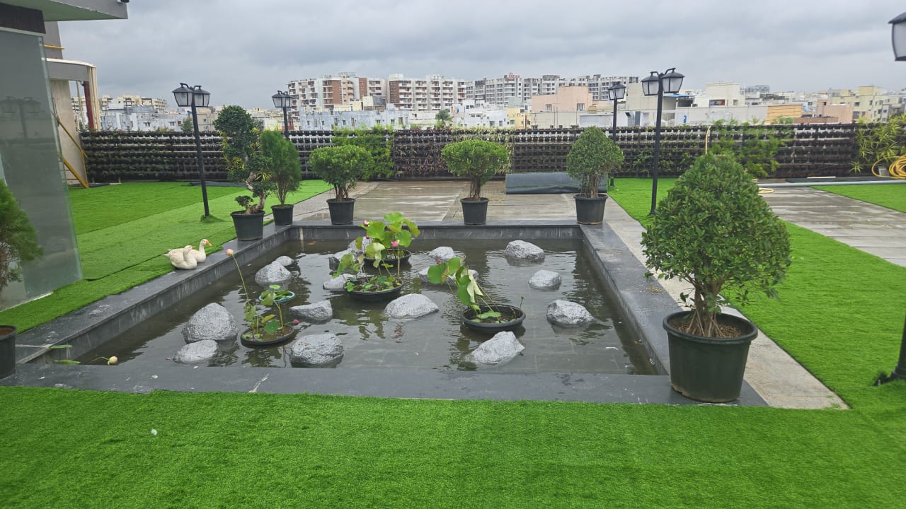 Terrace Pond view 1